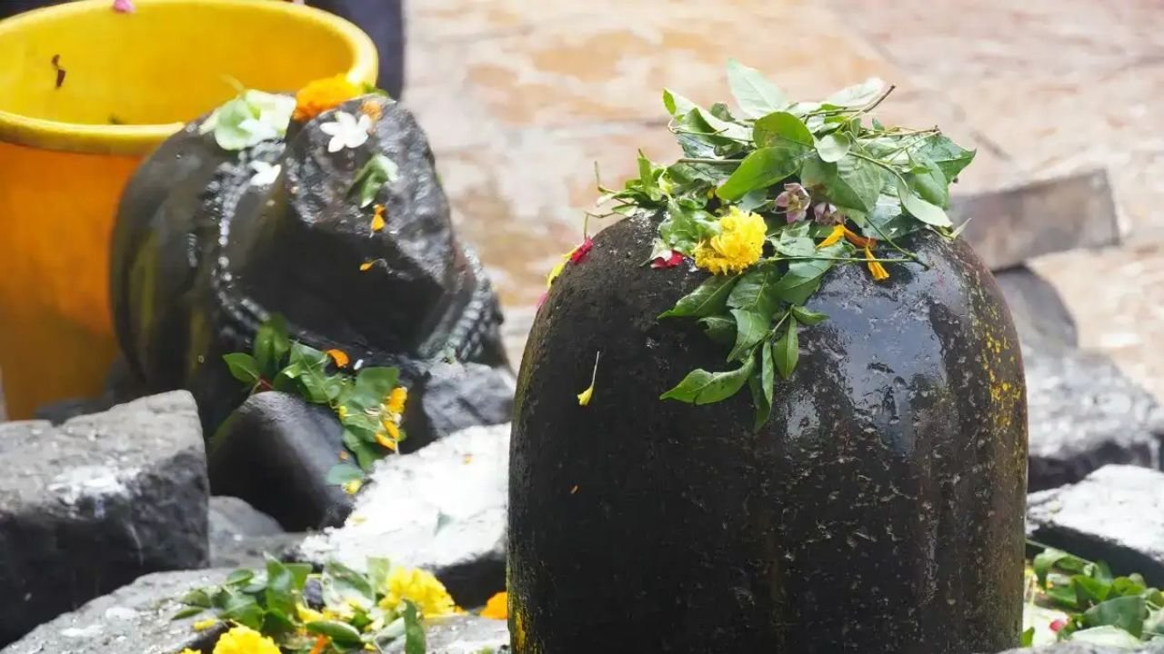 नागपंचमी पर हिसार में होगा बड़ा आध्यात्मिक अनुष्ठान, महामृत्युंजय यंत्र पर चढ़ेंगे 5 करोड़ बेलपत्र