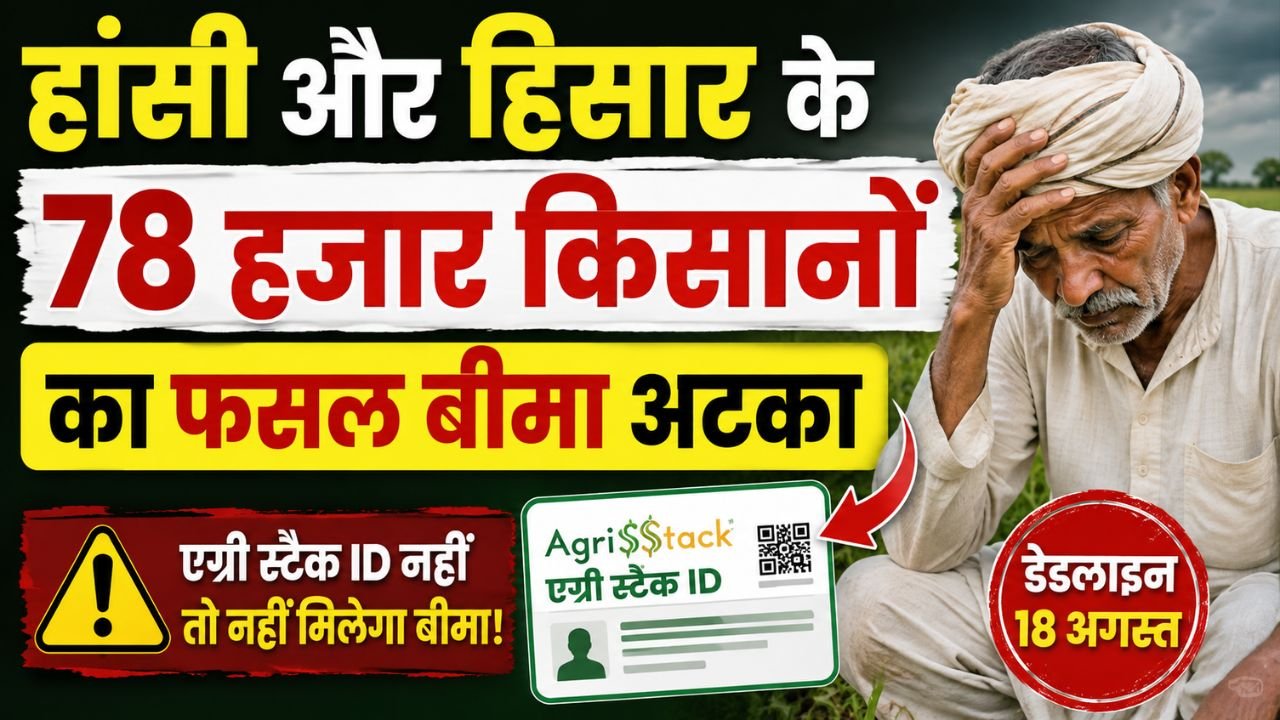 Haryana news : हिसार-हांसी के 78 हजार किसानों पर संकट, अटक सकता है फसल बीमा