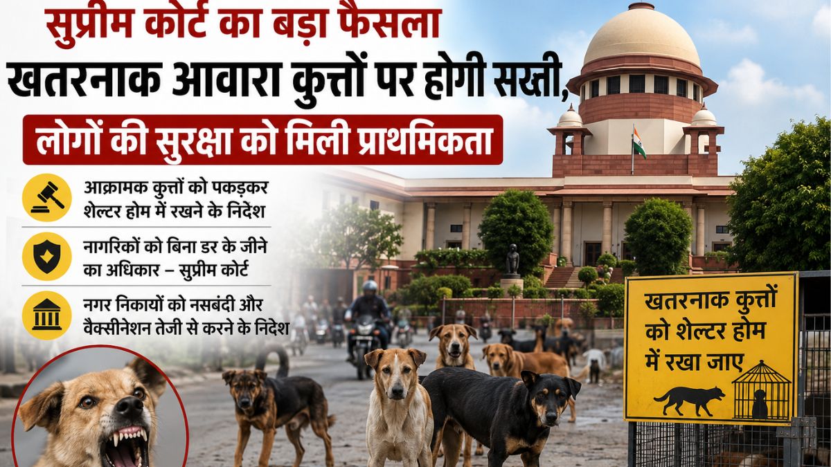 Haryana news : सुप्रीम कोर्ट का बड़ा फैसला, अब खतरनाक आवारा कुत्तों पर होगी सख्ती