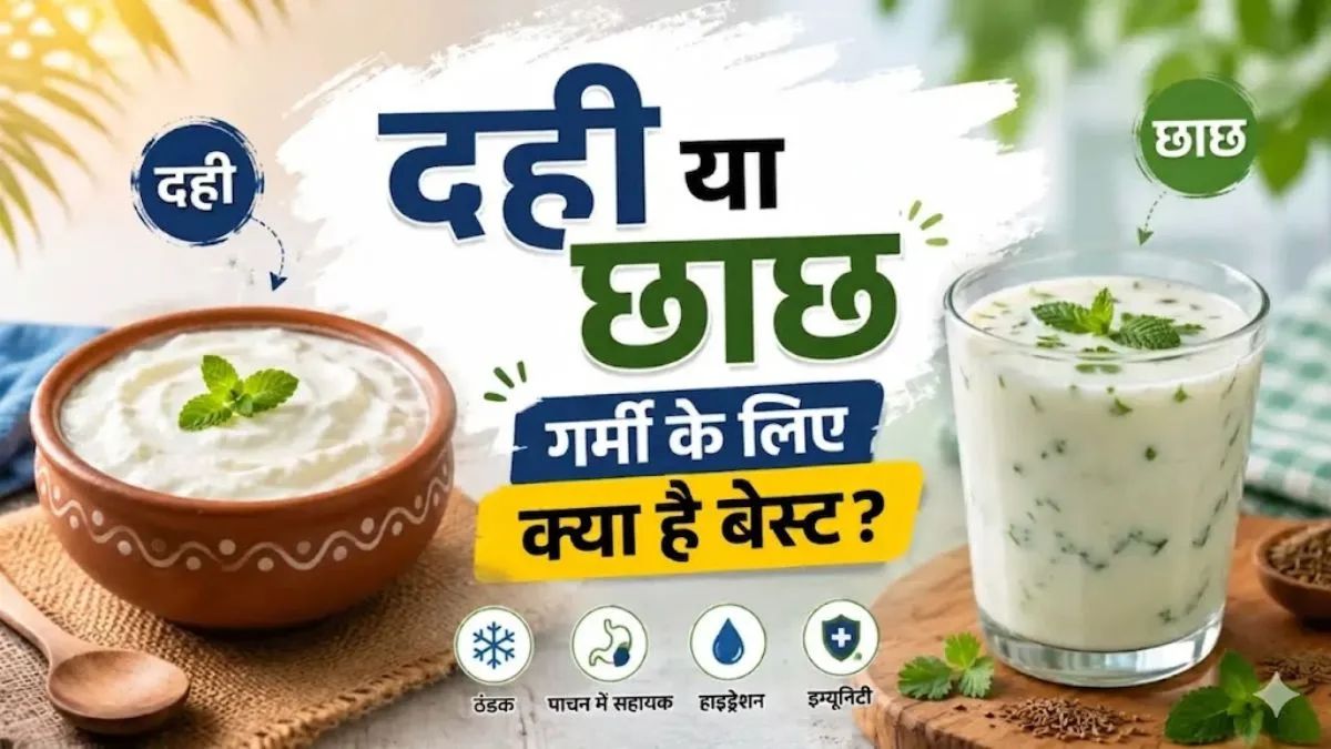 Health update : गर्मी में सेहत के लिए दही फायदेमंद है या छाछ, जानें आयुर्वेद का जवाब 