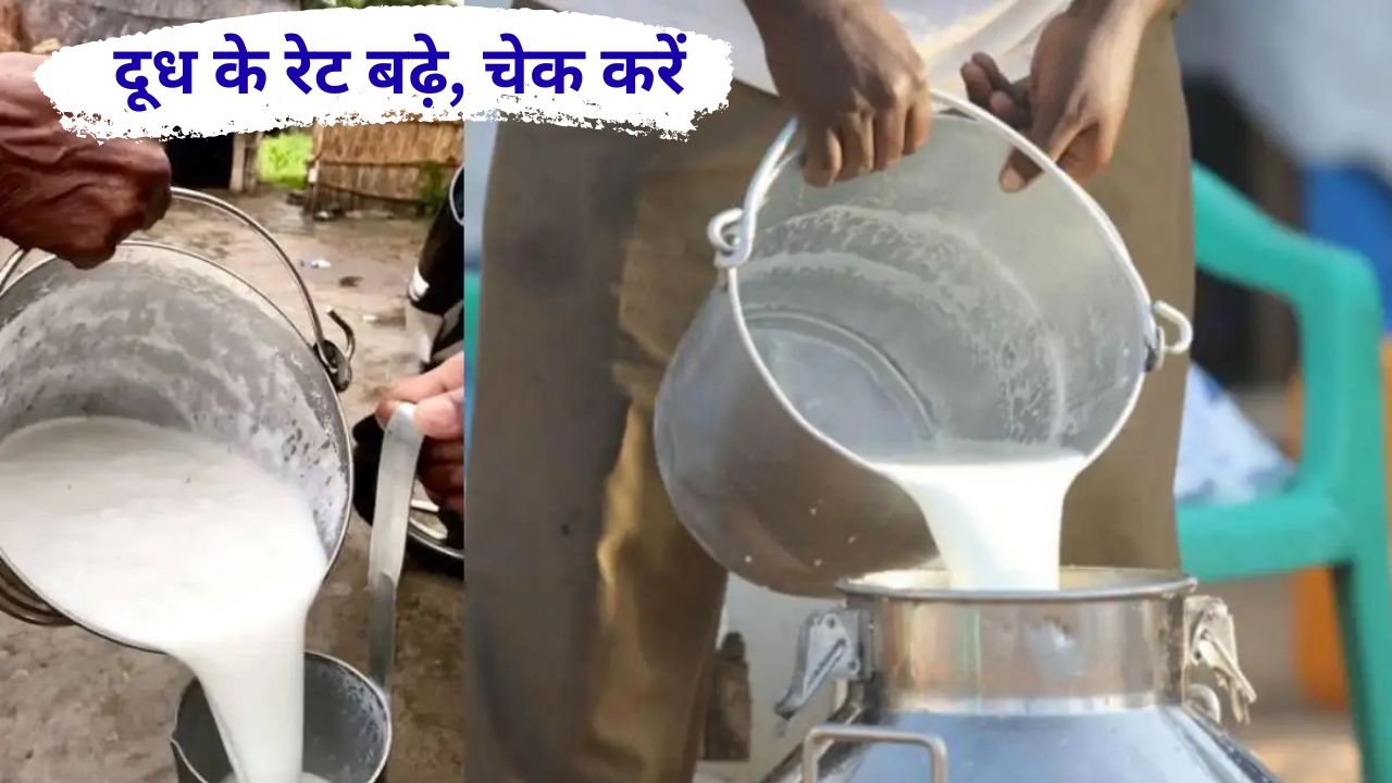 Milk Price Hike 2026: दूध उत्पादकों को बड़ी राहत, सरकार ने बढ़ाया मिल्क फैट का रेट