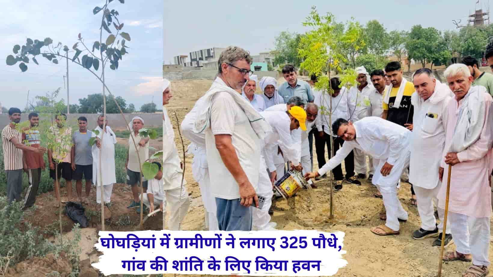 70 लाख के जनसहयोग से बदली गांव की तस्वीर, घोघड़ियां में हवन के बाद लगाए 325 पौधे, तालाब बना हरित पार्क