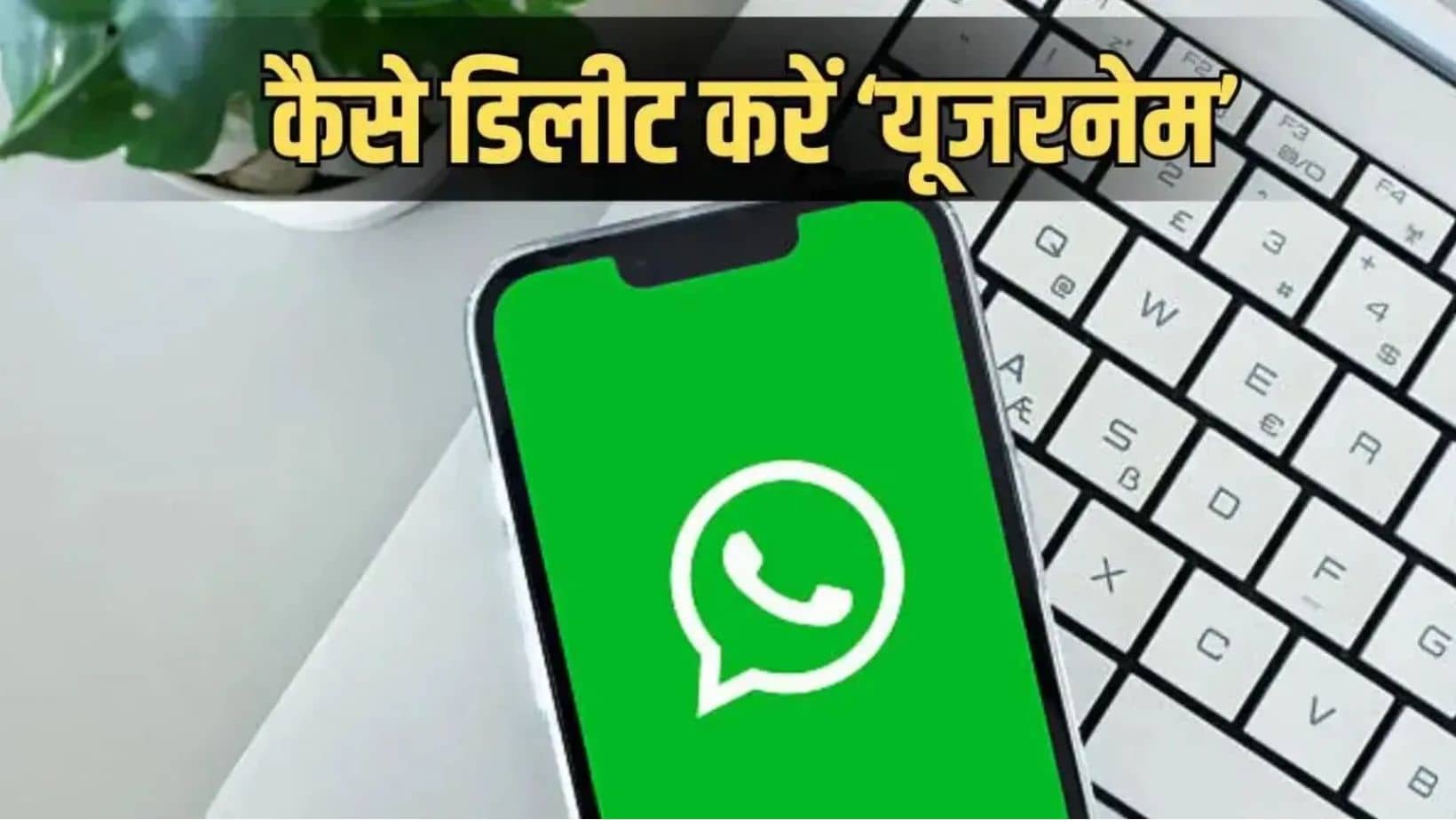 WhatsApp पर लीक नहीं होगा आपका पर्सनल नंबर, आ गया नया यूजरनेम फीचर